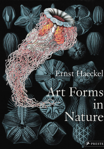 Art forms in nature : the prints of Ernst Haeckel (new window)