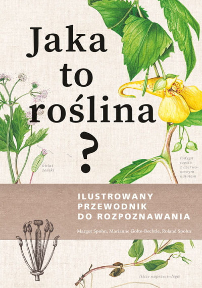 Jaka to roślina? Ilustrowany przewodnik do rozpoznawania (new window)