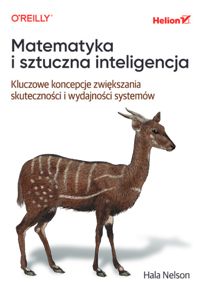 Matematyka i sztuczna inteligencja : kluczowe koncepcje zwiększania skuteczności i wydajności systemów (nowe okno)
